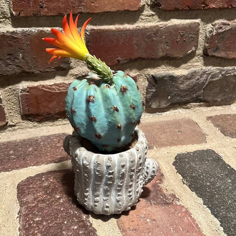Spring/Summer Decor - Picture 3 of 3